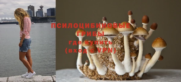 кокаин колумбия Заводоуковск