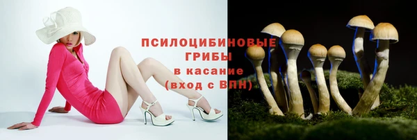 стаф Заволжск