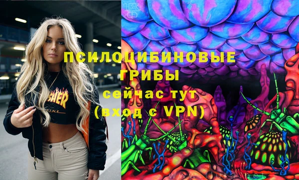 дмт Заволжье